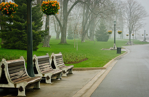 Misty Walk