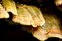 20060930-DSC_0100