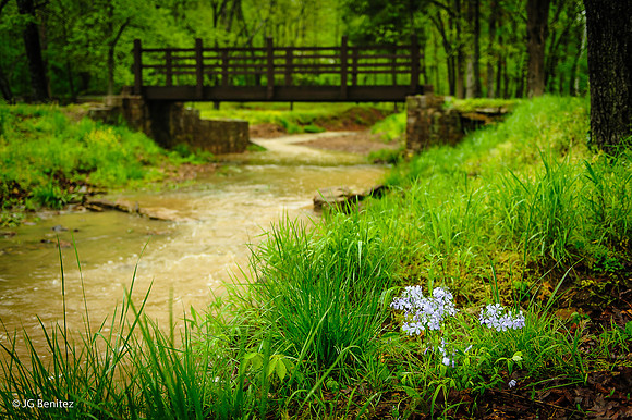 After the rain