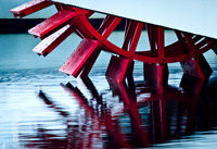 Paddle Reflections