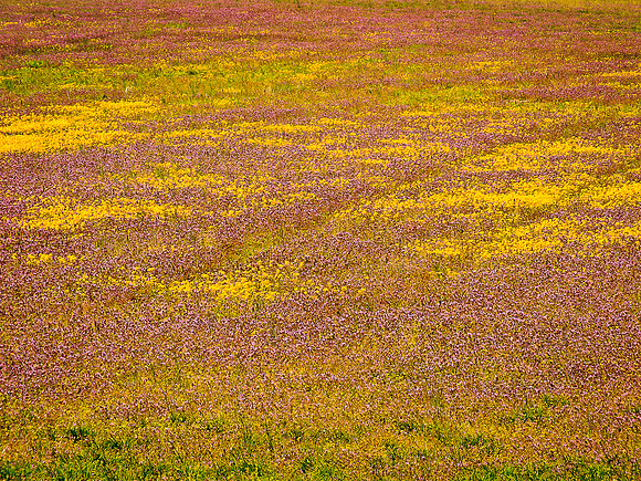 Spring Pastel