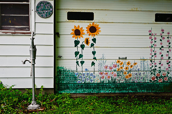 Rural Shed Garden