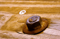 Nut at lunch