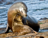 Mother and child