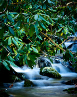 Smoky Mountain January Stream