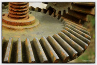 Gear detail