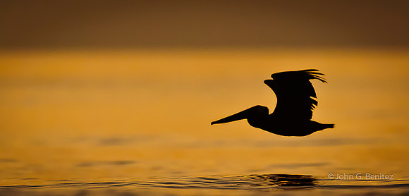 Skimming gold