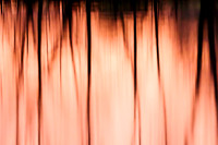 Reflections 1