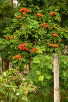 Highway Post