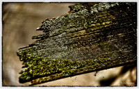Wood beam detail