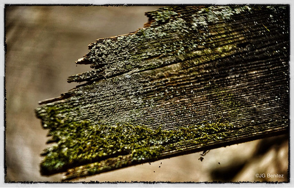 Wood beam detail