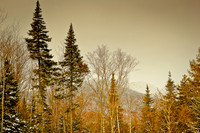 First Snow