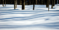 Winter Shadows